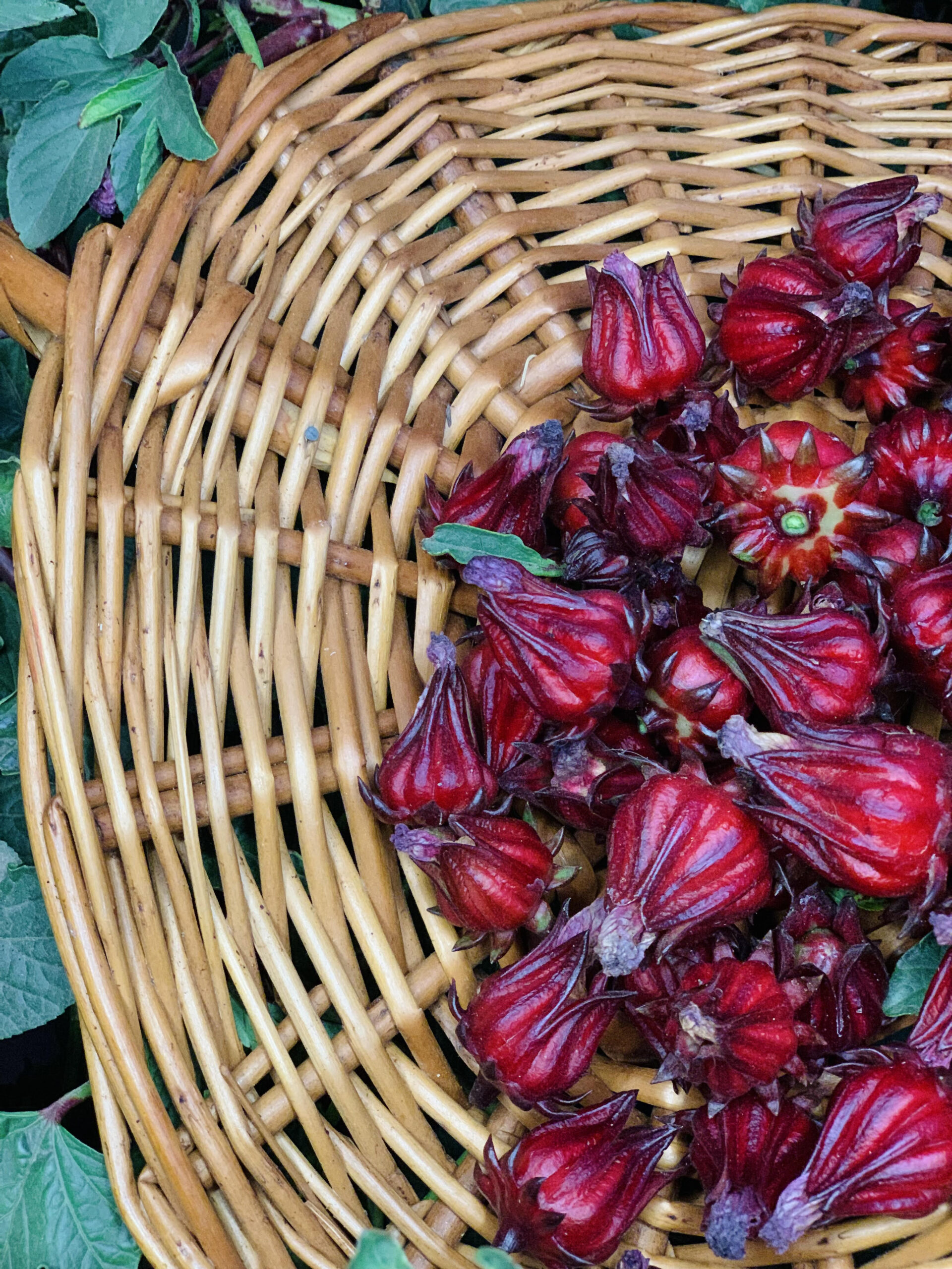 Roselle hibiscus jelly