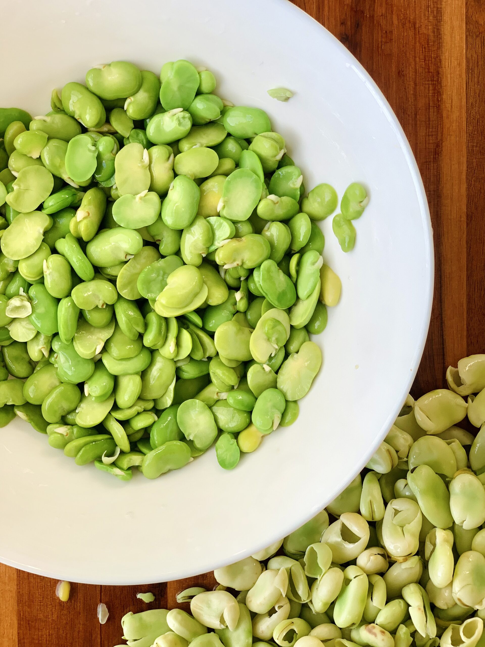 shelled fava beans 